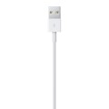 Apple Lightning to USB Cable (1m)