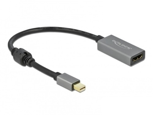 adaptera Delock - 20 cm