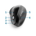 PRO FIT ERGO MOUSE/VERTICAL CORDLESS BLACK