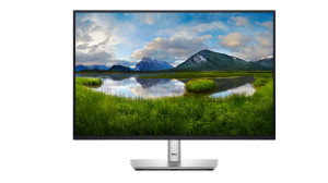 Monitor Dell P2425E 210-BMJF/5Y 24"