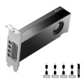PNY NVIDIA 2000 Ada 16GB LowProfile, PCIe 4.0 x16, Dual Slot, 4x Mini DP 1.4a, 16 GB GDDR6 ECC 128-bit, HDCP 2.2, HDMI 2.0, LP - ATX bracket, 1x mDP to DP adapter, retial