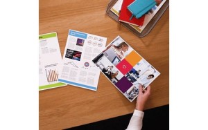 Toner Brother zestaw TN243CMYK=TN-243CMYK, 1000 str.