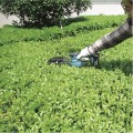 MAKITA NOŻYCE DO TRAWY 18V LI-ION BEZ AKUMULATORA I ŁADOWARKI DUM604ZX
