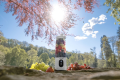 Blender Personalny Smoothie Bezprzewodowy Concept FitMaker SM4000 Biały