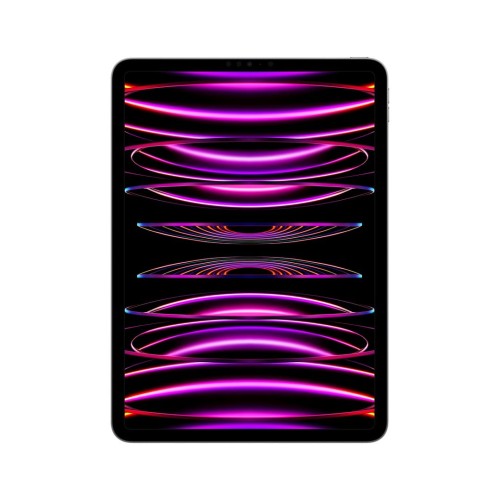 Apple 11-inch iPad Pro (4 gen.) Wi-Fi 2TB Space Grey
