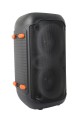 ESPERANZA GŁOŚNIK BT FM LED RGB KARAOKE SINGER EP156