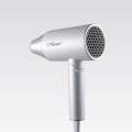 Suszarka do włosów 2100W MAESTRO MR-213
