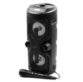 SQUEAK SQ1004 - Głośnik Bluetooth z mikrofonem, radio FM, AUX, 40W