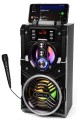 SQUEAK SQ1000 - Głośnik Bluetooth z funkcją karaoke, 20 W