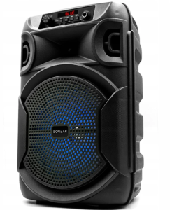 SQUEAK SQ1006 - Głośnik Bluetooth,radio FM, aux, 35W