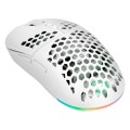 Mysz gamingowa GAMIAC PX71 - biała