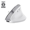 Mysz ergonomiczna TRUST Bayo+ Multidevice Wireless