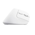 Mysz ergonomiczna TRUST Bayo+ Multidevice Wireless