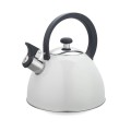 Czajnik nieelektryczny 2,5L MR-1302-WG MAESTRO