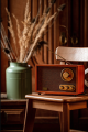 Adler AD 1171 Retro Radio z Bluetooth