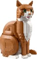 LEGO Ideas 21376 - Rudy kot
