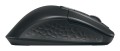 CHERRY Stream desktop ultimate klawiatura Dołączona myszka Dom/Biuro USB + RF Wireless + Bluetooth QWERTZ Niemiecki Czarny