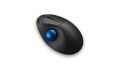 Kensington Pro Fit Ergo TB450 myszka Biuro Po prawej stronie RF Wireless + Bluetooth Manipulator kulkowy 1600 DPI