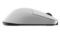Endgame Gear XM2we myszka Gaming Po prawej stronie RF Wireless + USB Type-C Optyczny 19000 DPI