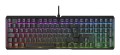 Klawiatura CHERRY XTRFY MX 3.1 RGB Przewodowa (EN) MX2A Czerwony sw