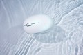 Mysz bezprzewodowa ASUS MD101 Fragrance Mouse Wireless /Bluetooth Rose Clay