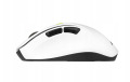 Mysz bezprzewodowa Asus MD105 Volt Green