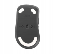 Mysz bezprzewodowa Asus MD102 Black