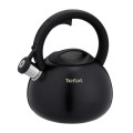 Czajnik nieelektryczny TEFAL N4180410