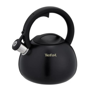 Czajnik nieelektryczny TEFAL N4180410