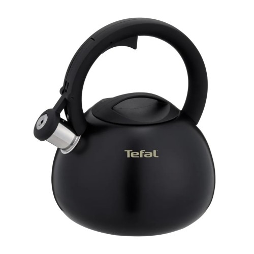 Czajnik nieelektryczny TEFAL N4180410
