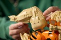 LEGO Pokémon 72160 - Arcanine