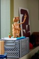 LEGO Ideas 21370 - E.T. the Extra-Terrestrial