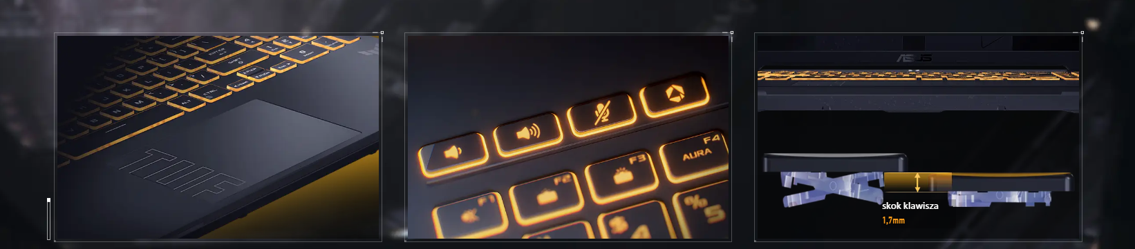 5-MM42D-28.png (329.7 kB)